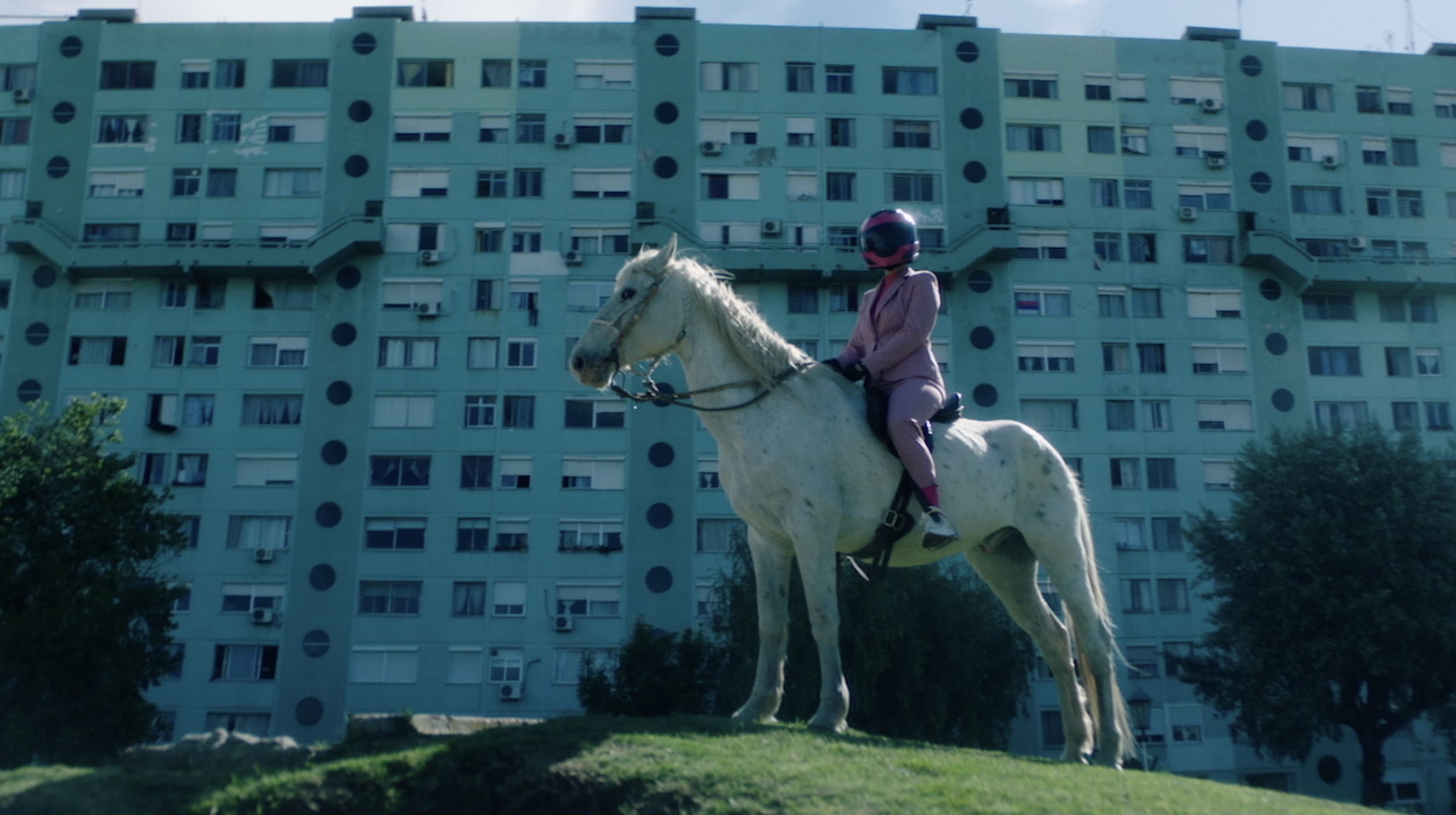 Persona con casco en un caballo blanco.